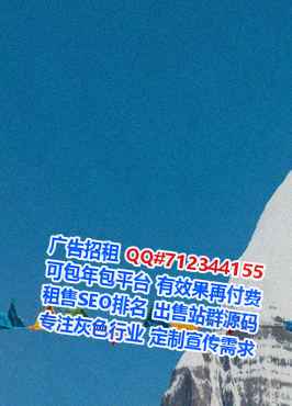 伊州代母信息公司